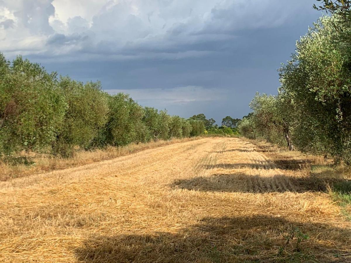 Agriturismo Beveraggio Appartamenti Marina di Grosseto Zewnętrze zdjęcie